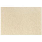 JAM Paper A6 Blank Note Cards, 4.63" x 6.25", Natural Parchment, 100 Pack (17531640b)-Black natural parchment note cards