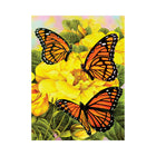 Royal & Langnickel - Peinture par numeros Majestic Monarchs-7 peintures acryliques et 1 pinceau taklon de qualite
