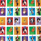 2 Sheet Flat Birthday Wrap, Animals, 12 Packs of 2 Sheets-Animals