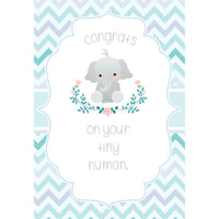 Millbrook Studios 5-3/8" x 7-3/4" Greeting Cards/Envelopes - 1940-Value Greeting Cards