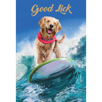 Rosedale 5-1/2" x 8" Greeting Cards/Envelopes - 17113-Value Greeting Cards