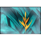 Elunevision 120" 16:9 Aurora Ambient Light Rejection Fixed-Frame Screen-Electric projection screen