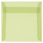 JAM Paper Enveloppes carrées Stardream en vélin translucide avec ferm. gom., 5 1/2 x 5 1/2 po, vert feuille, 100/pqt-Vert feuille