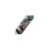 Edupress Black History Photo Border, 72 Pack-Bulletin board borders to enhance the look of 3rd - 12th grade classrooms