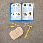Educational Insights - Kit d'excavation de fossiles GeoSafari® Jr.-Amusez-vous avec les fossiles ! Les fossiles comprennent une dent de Mosasaurus, un trilobite, une dent de requin, une vertèbre de requin, des gastéropodes, etc.