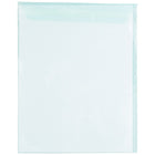 JAM Paper Cello Sleeves, 8 15/16 x 11.25, Aqua Blue, 100 Pack (811BL1)-Type: cello sleeve