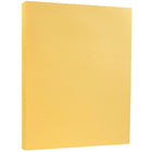 JAM Paper Vellum Bristol Index Cardstock, 8.5 x 11, 110lb Buff Ivory, 2 packs of 50 (169854g)-Size: 8-1/2" x 11"