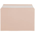 JAM Paper Cello Sleeves, A9, 5 7/16 x 8.63, Peach, 100 Pack (2783142)-Dimension: 5-3/7"h x 8-5/8"w x 1/5"d