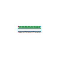 Teacher Created Resources Name Plate Cursive Writing, 216 Pack (TCR4308)-Theme/design: Cursive writing