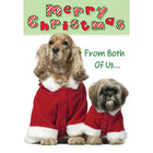 Millbrook Studios 5-3/8" x 7-3/4" Greeting Cards/Envelopes - 20946-Value Greeting Cards