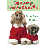 Millbrook Studios 5-3/8" x 7-3/4" Greeting Cards/Envelopes - 20946-Value Greeting Cards