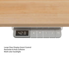 DecentLiving 60" Electric Sit/Stand Desk - Solid Maple-Desktop thickness at 1-1/4 inch